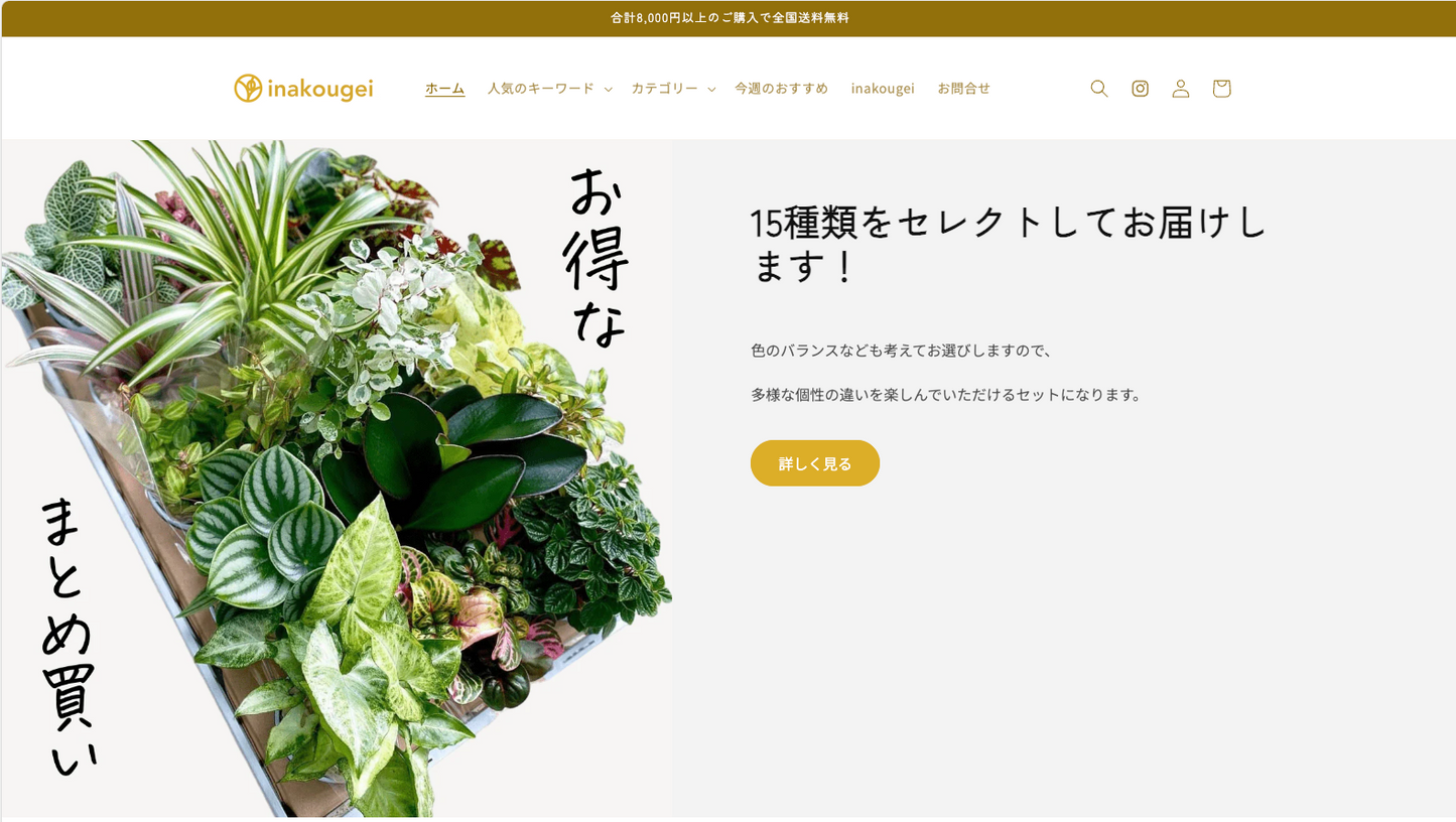 【コード販売】:画像付きテキスト