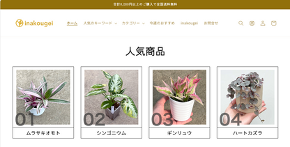 【コード販売】：番号画像付きテキスト