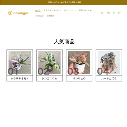 【コード販売】：番号画像付きテキスト